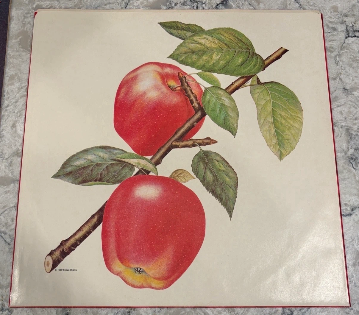 Rolling Stones – Undercover LP CAN Press (79 01201) Q - photo 3