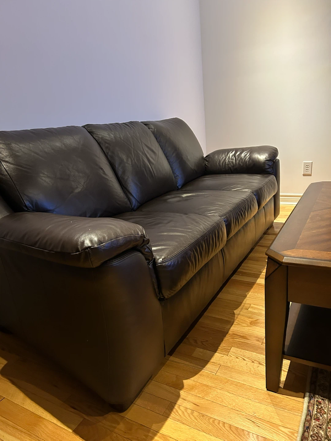 leather sofa and love seat from Leon’s Furniture