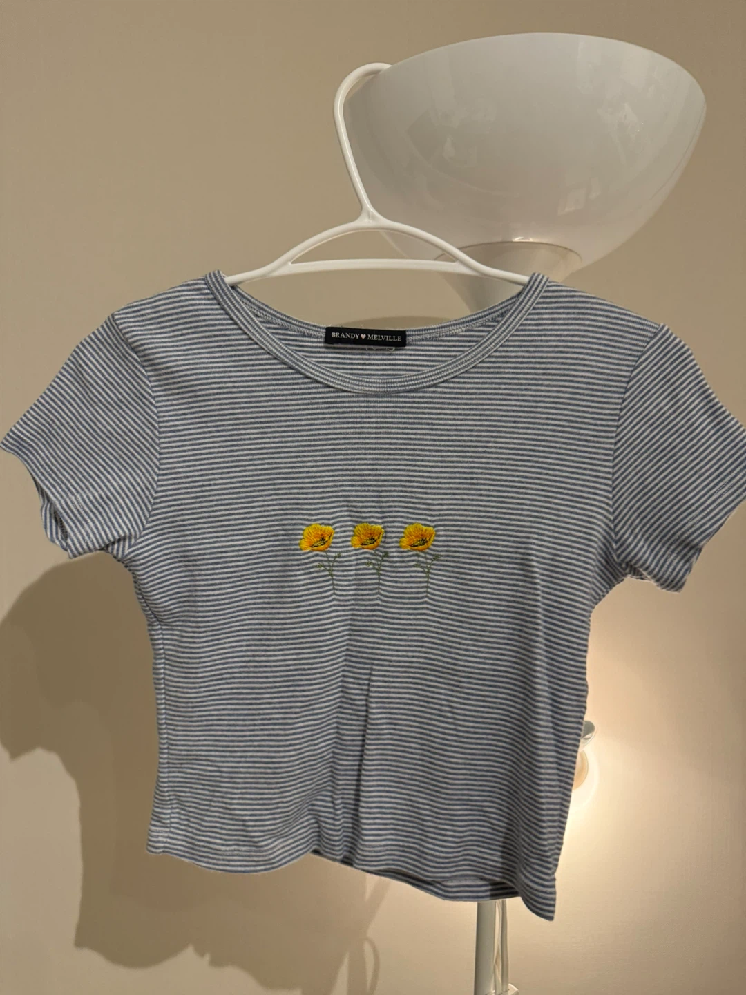 Brandy Melville Blue Striped Cropped Top with Flowers
