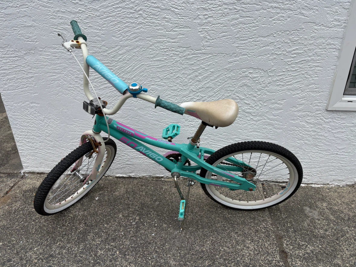 Avigo Teal Kids Bike