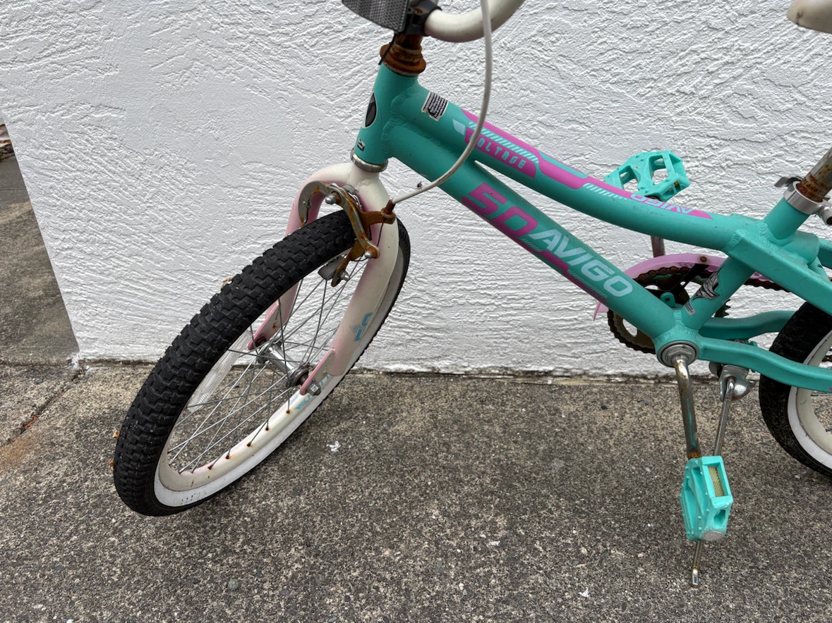 Avigo Teal Kids Bike - photo 3