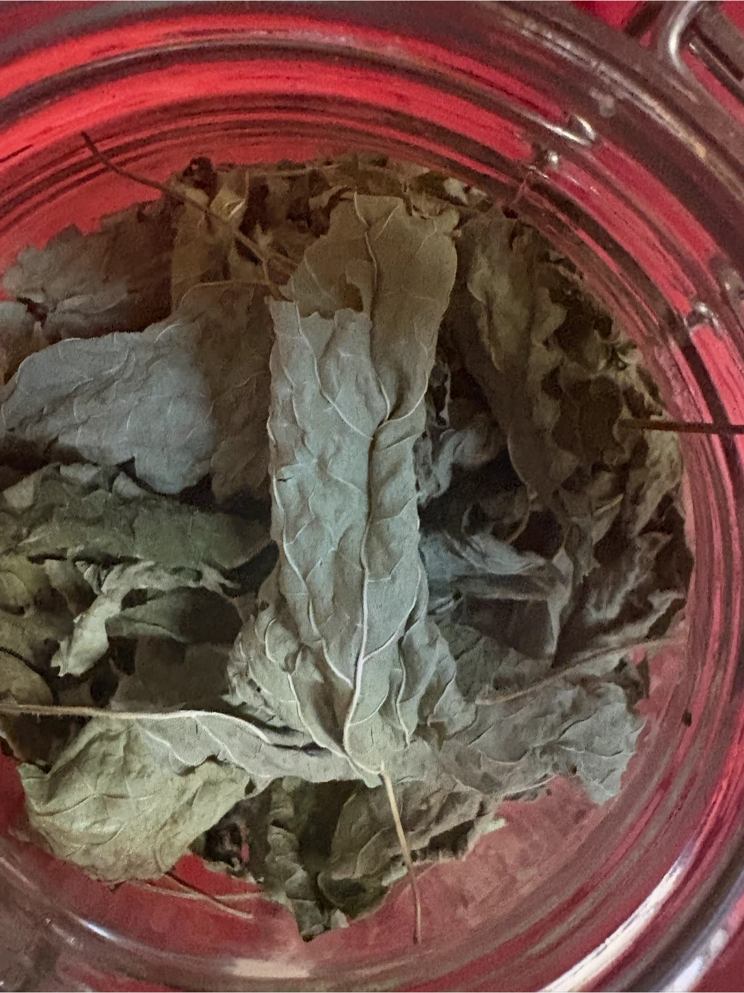 Jar of Dried lemon grass Leaves - photo 2