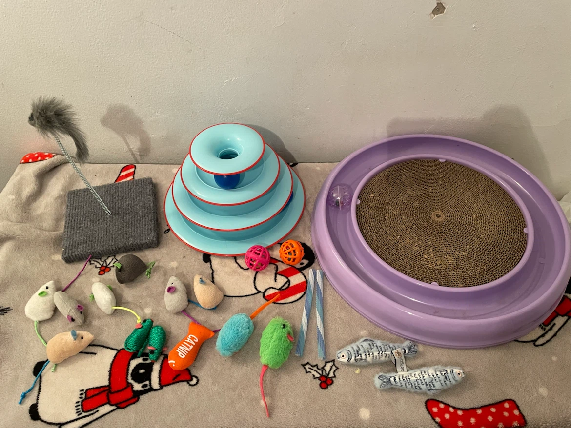 Cat Toys Lot