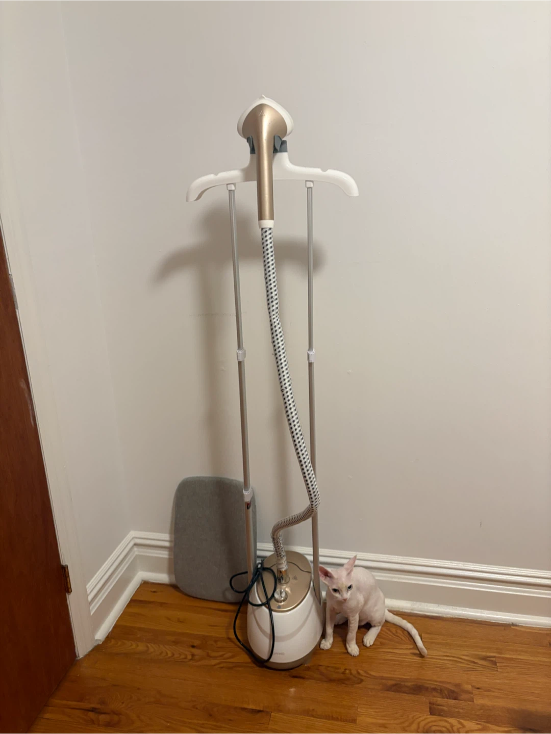 Garment Steamer with Accessories - photo 5