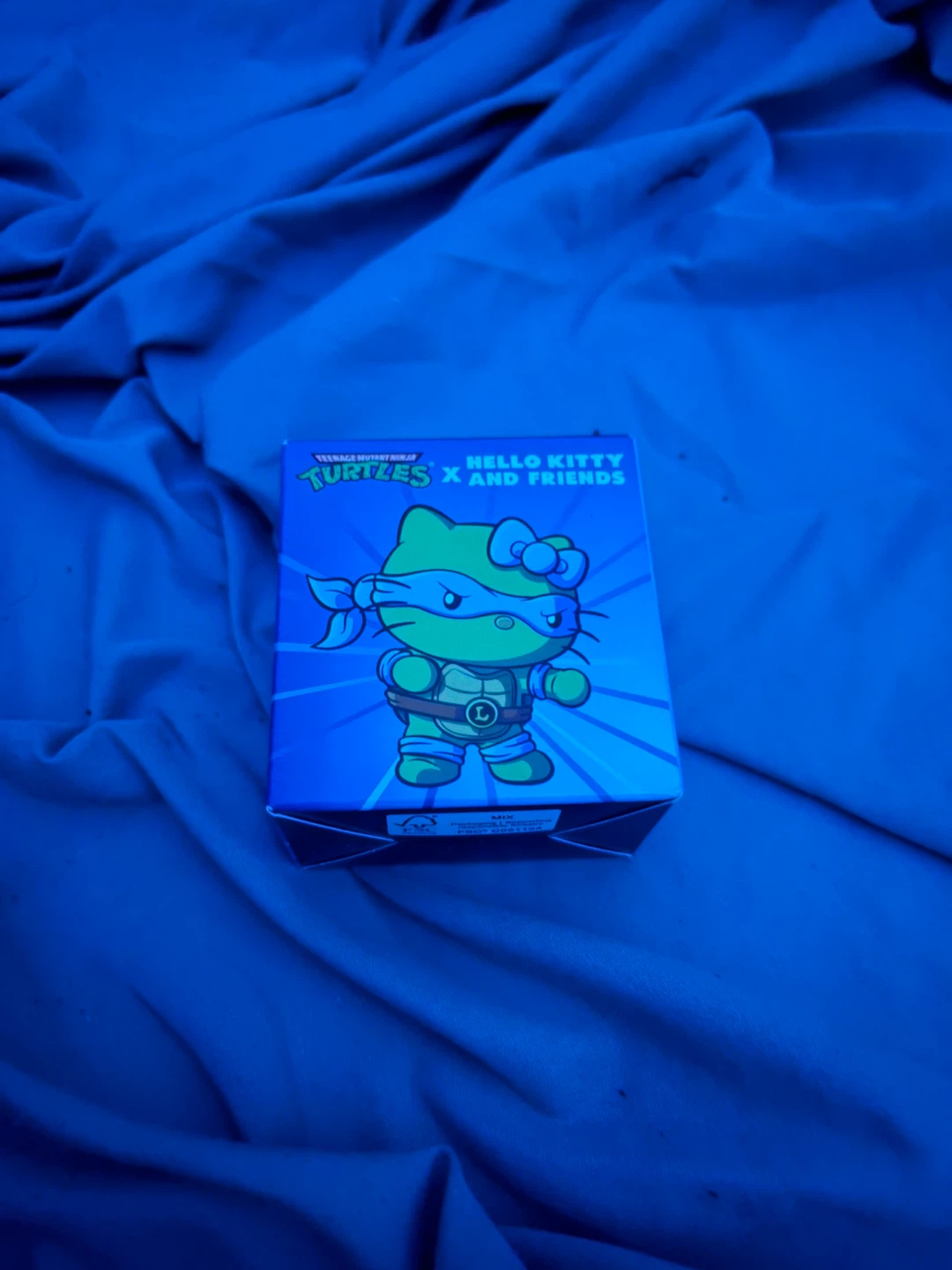 Hello Kitty x Teenage Mutant Ninja Turtles Box