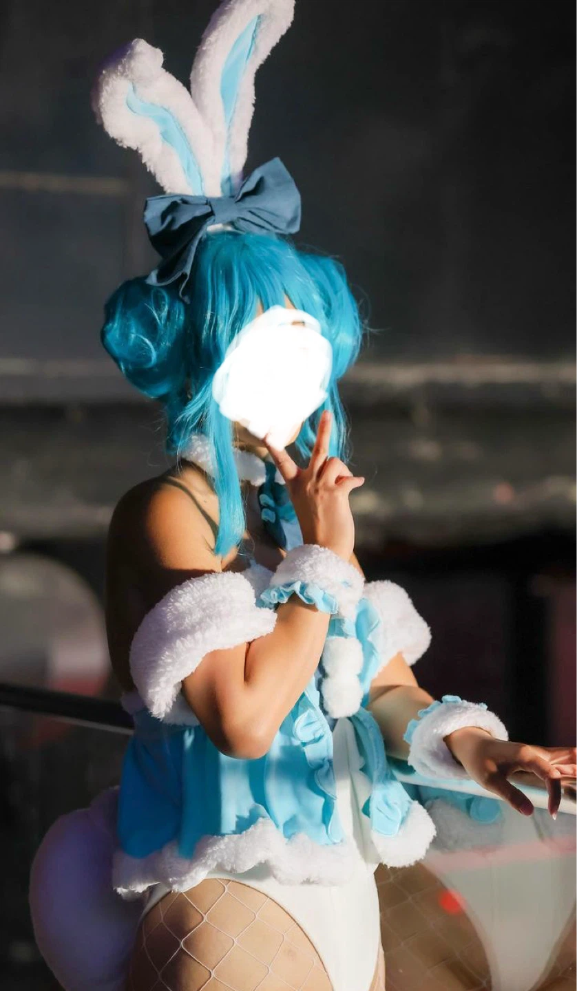 Miku bunny costume set