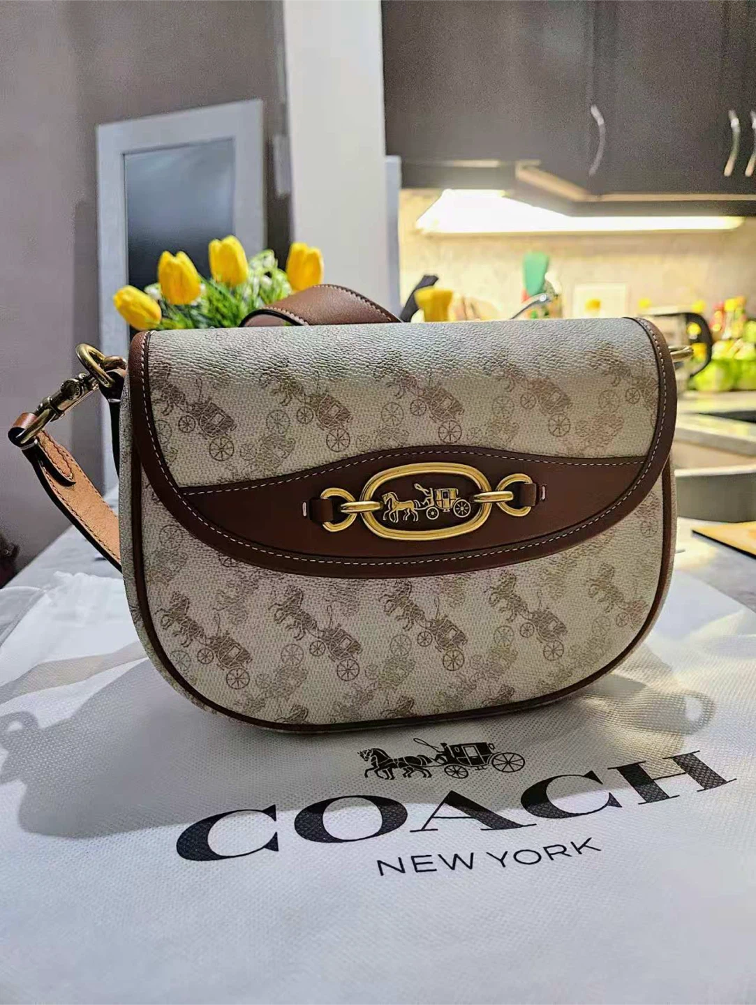 Coach Saddle Bag Signature Print - NEED TO SELL EVERYTHING