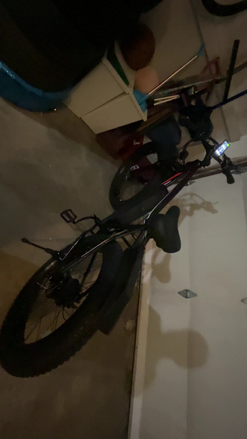 Electric Bike - photo 4