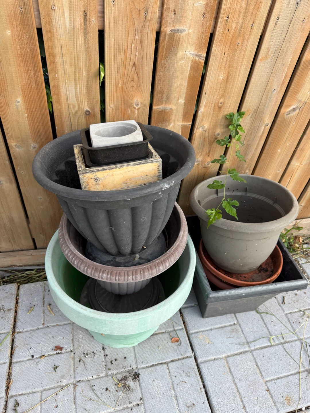 Assorted Plastic Plant Pots