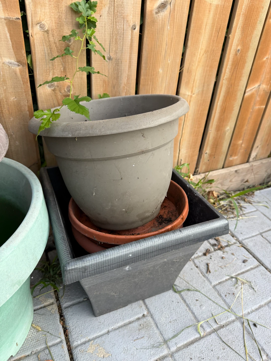 Assorted Plastic Plant Pots - photo 3