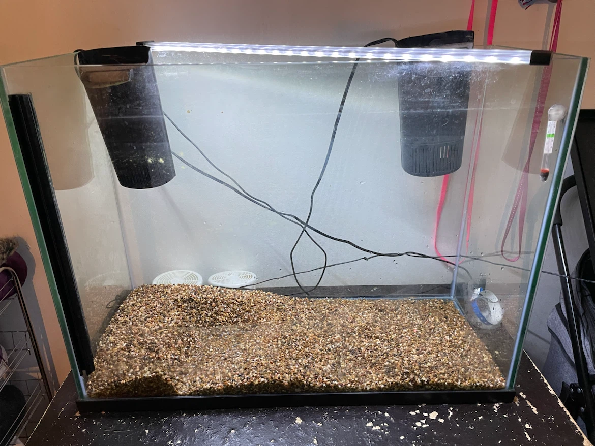 37 Gallon Fish Tank & Supplies - photo 3