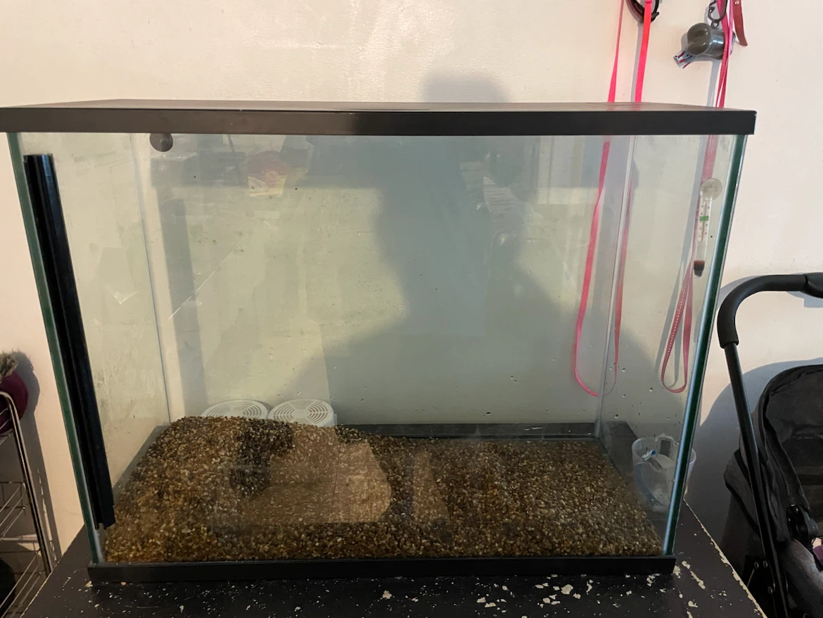 37 Gallon Fish Tank & Supplies - photo 4