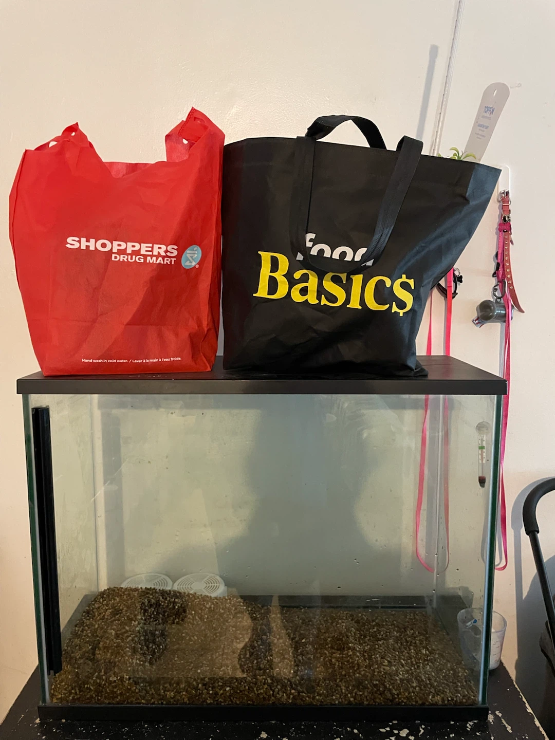37 Gallon Fish Tank & Supplies - photo 5