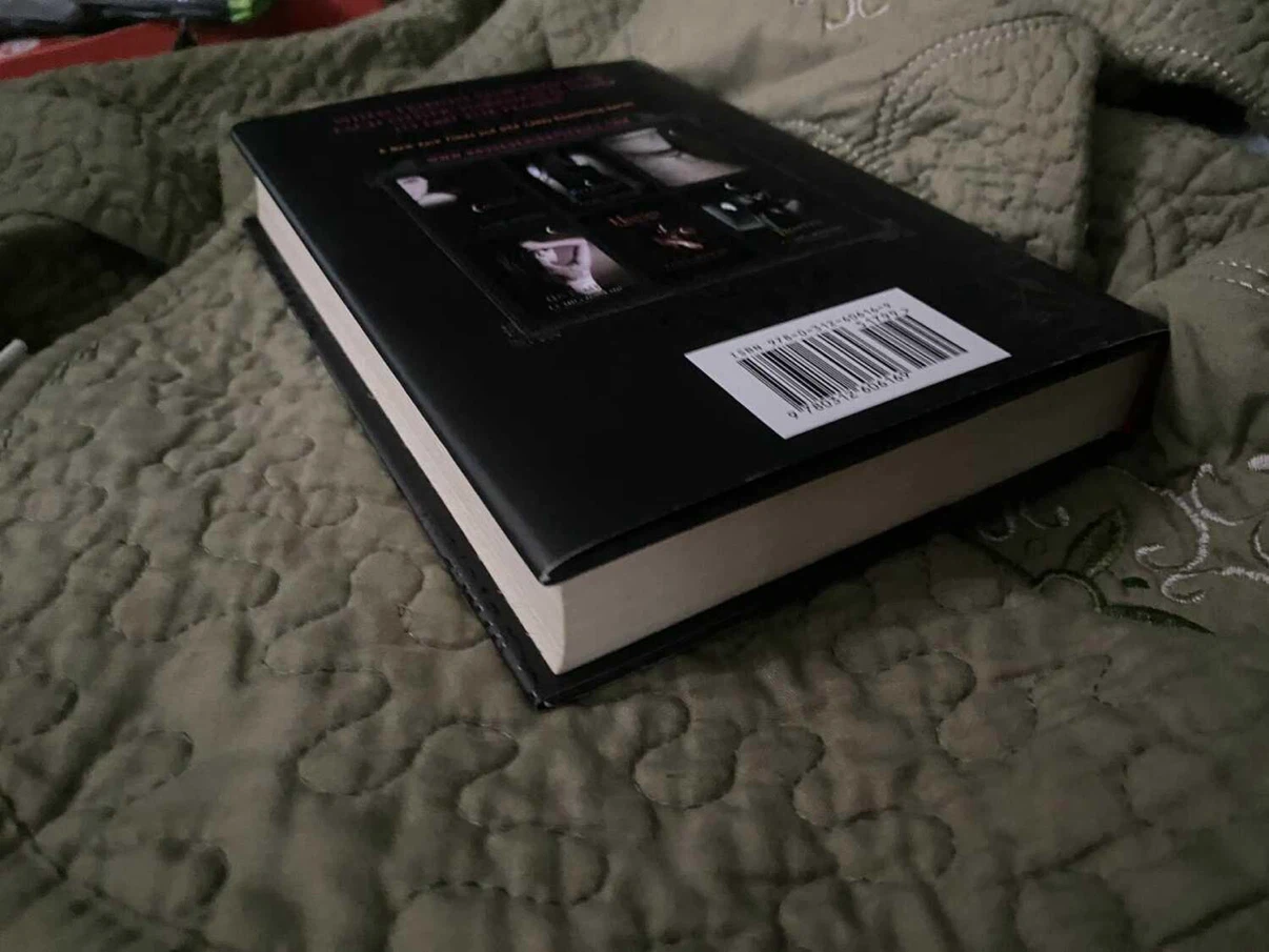 Burned (HON) Book - photo 2