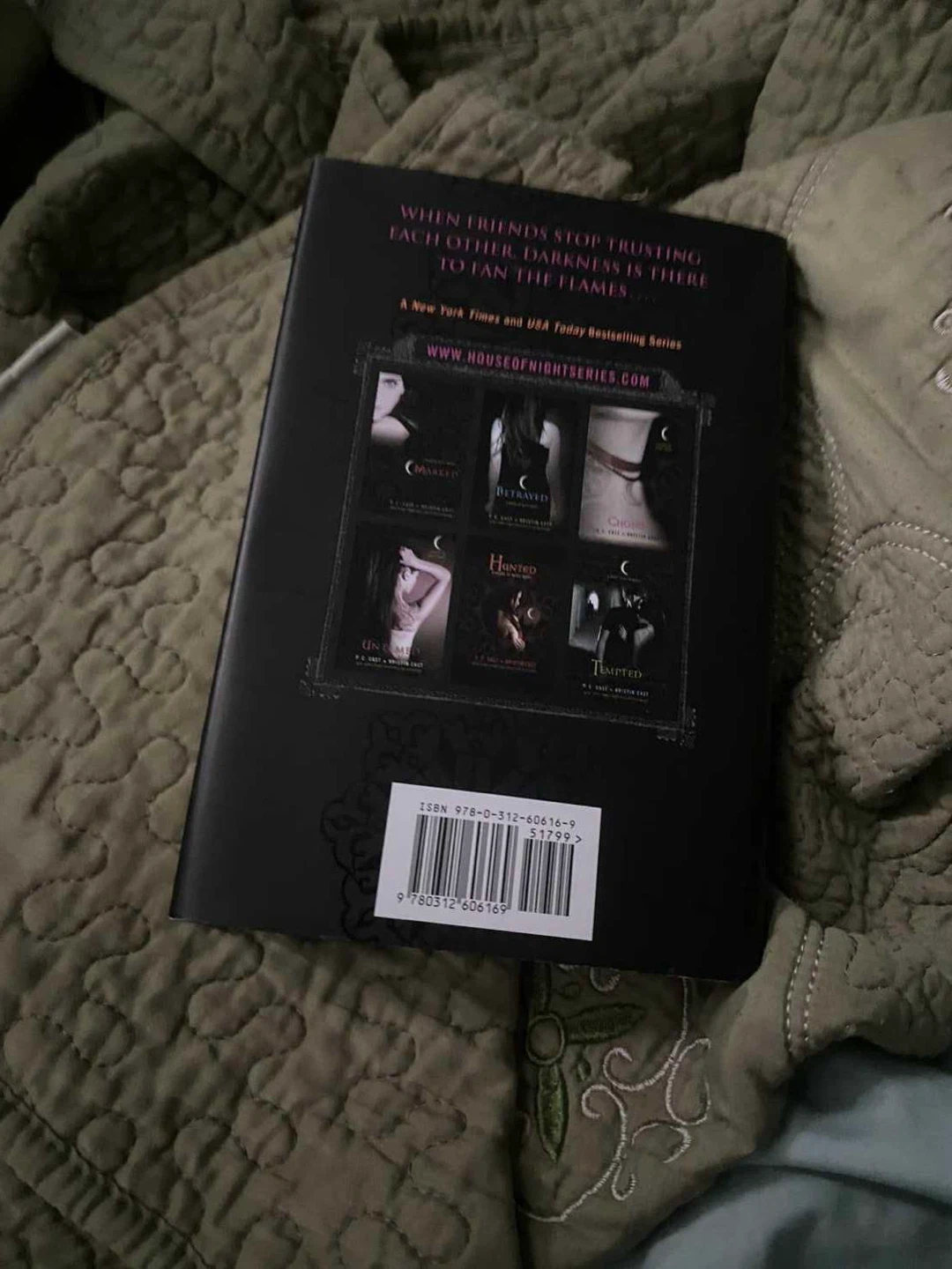 Burned (HON) Book - photo 3