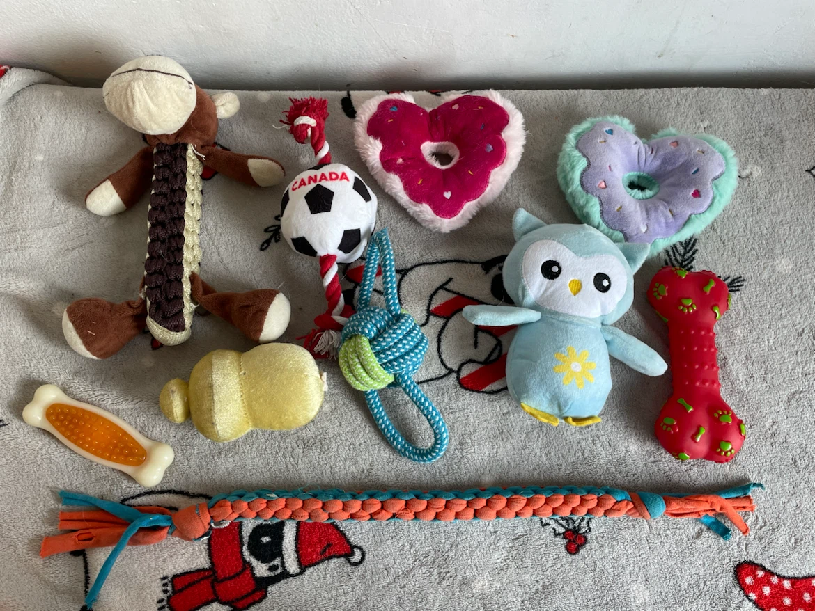 Small Dog Toys Lot 10pc