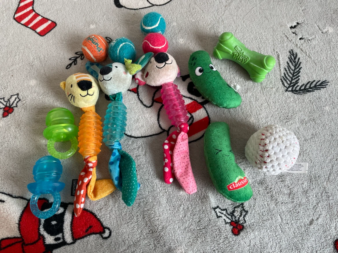 13pc XS Dog Toys Lot
