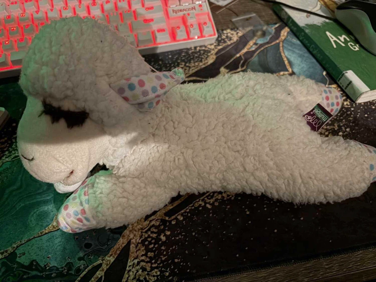 Sheep Dog Toy Plush - photo 4