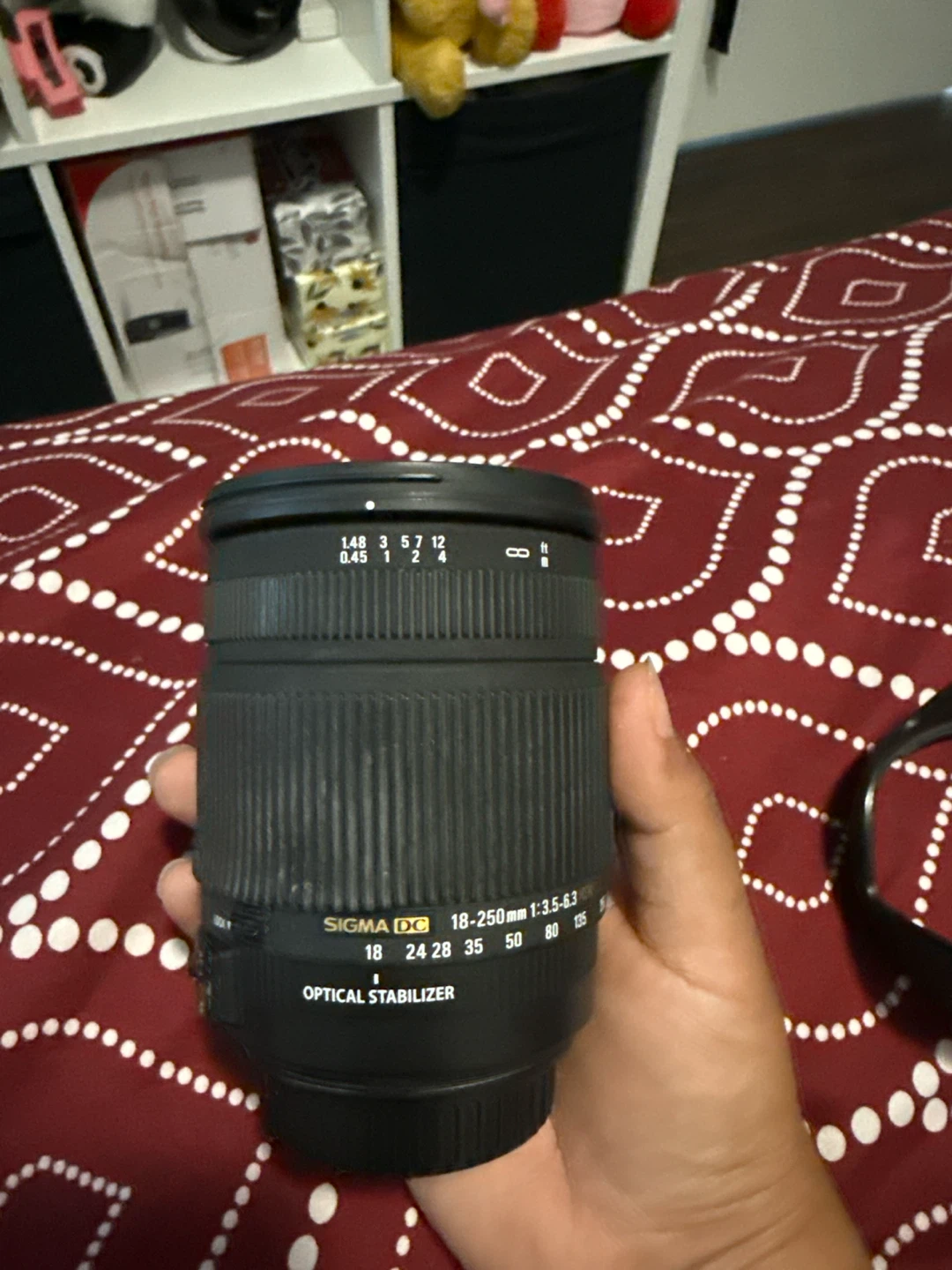 Sigma Zoom 18-250mm f/3.5-6.3 DC OS HSM Lens - photo 4