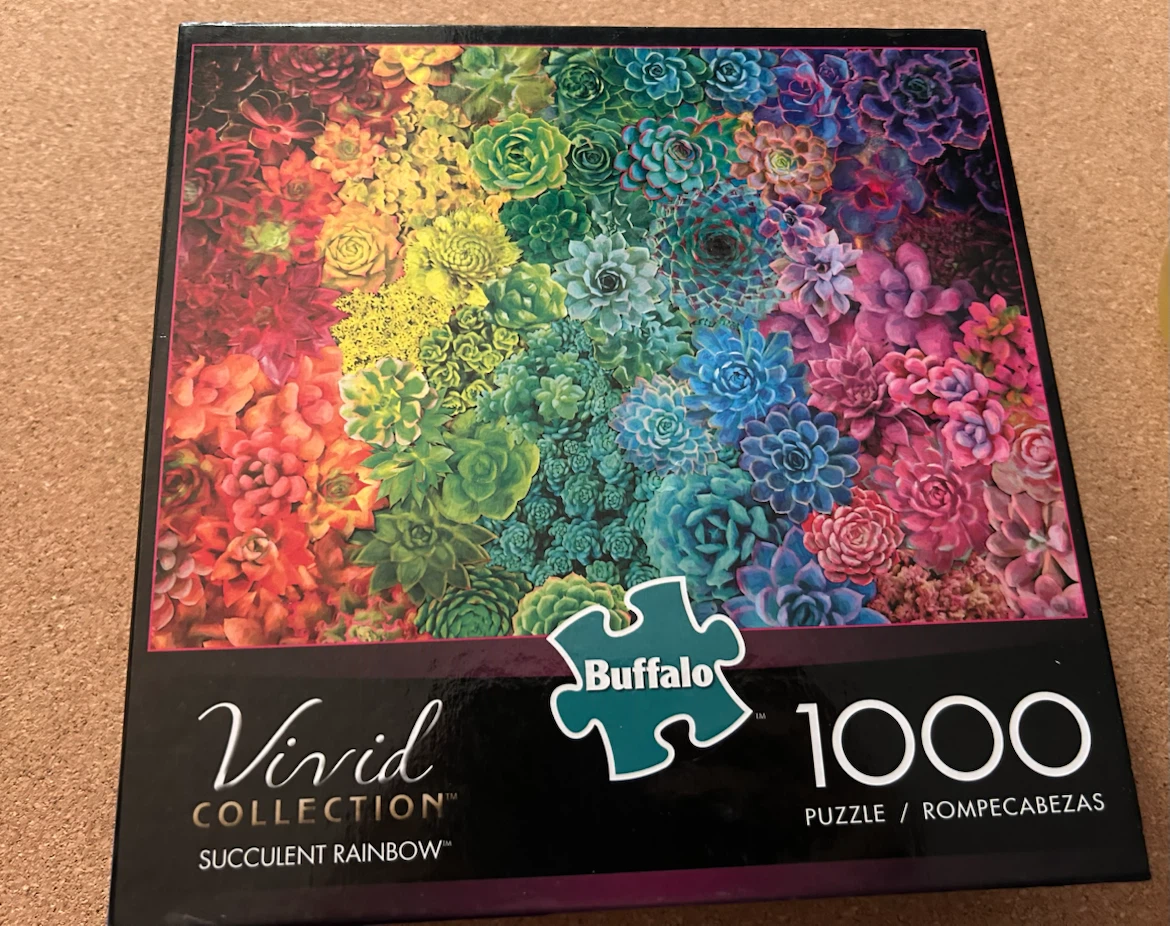 Buffalo Vivid Collection Succulent Rainbow 1000 Piece Puzzle