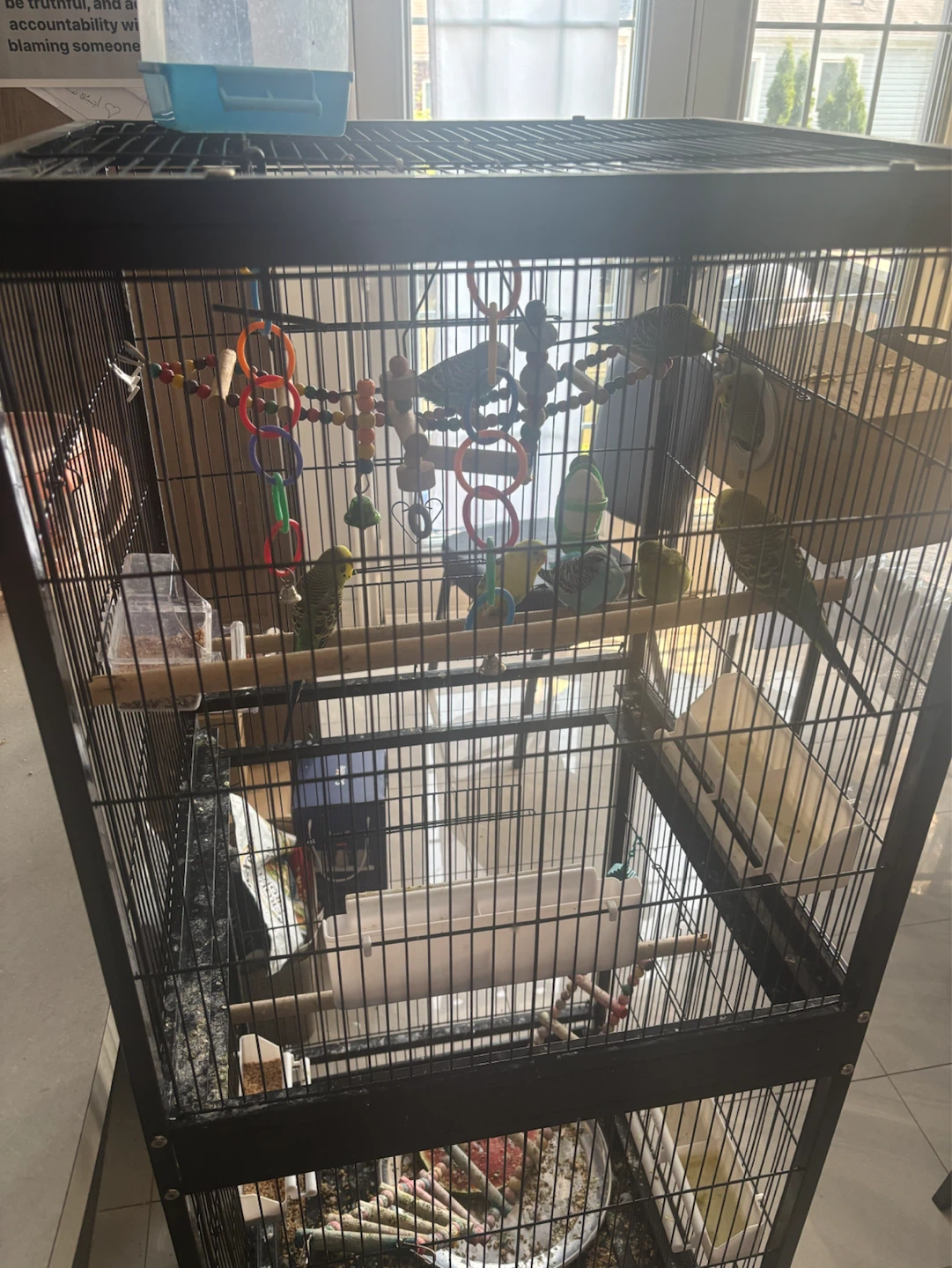 Multi-level Bird Cage with Accessories - photo 2
