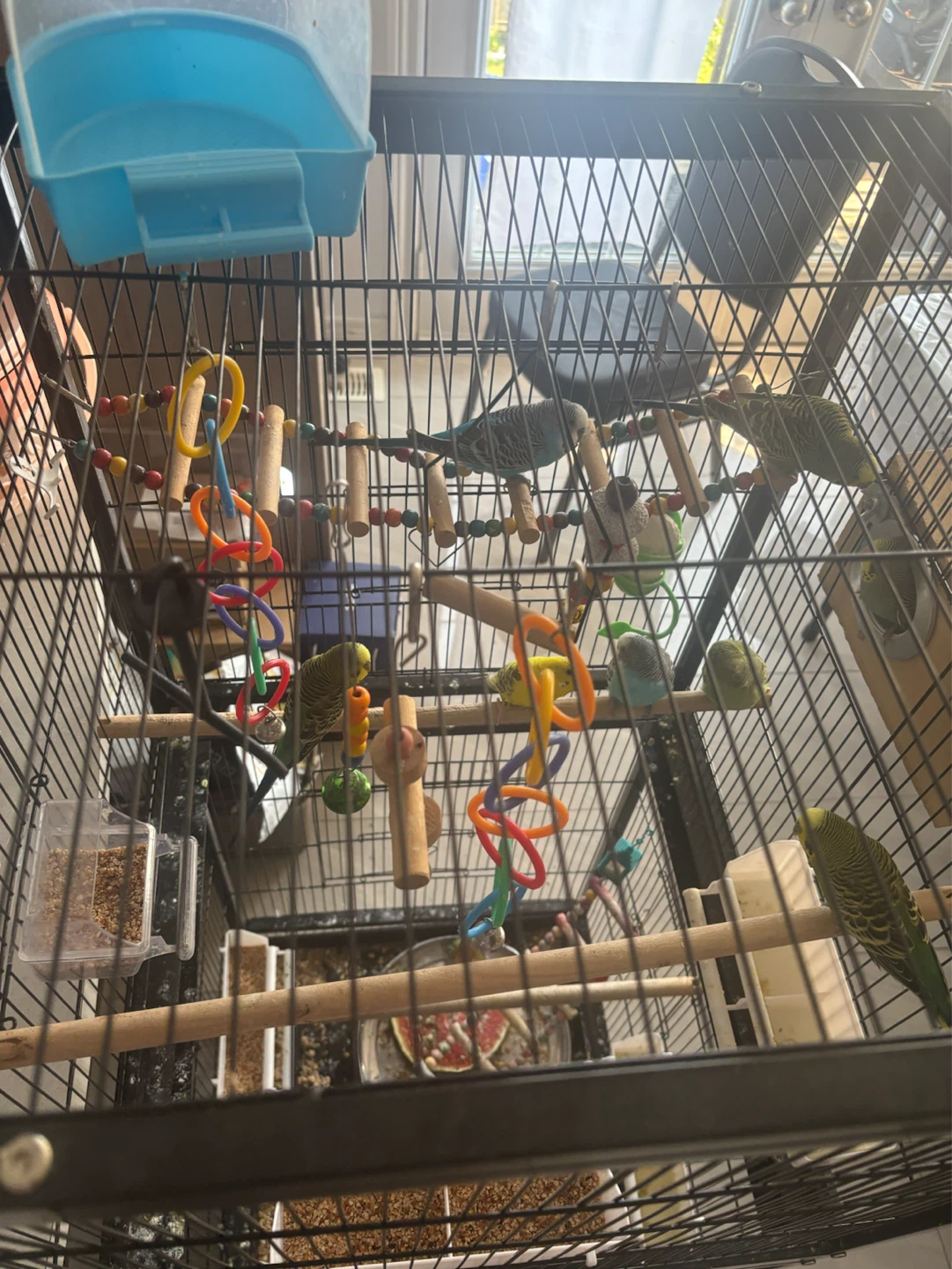 Multi-level Bird Cage with Accessories