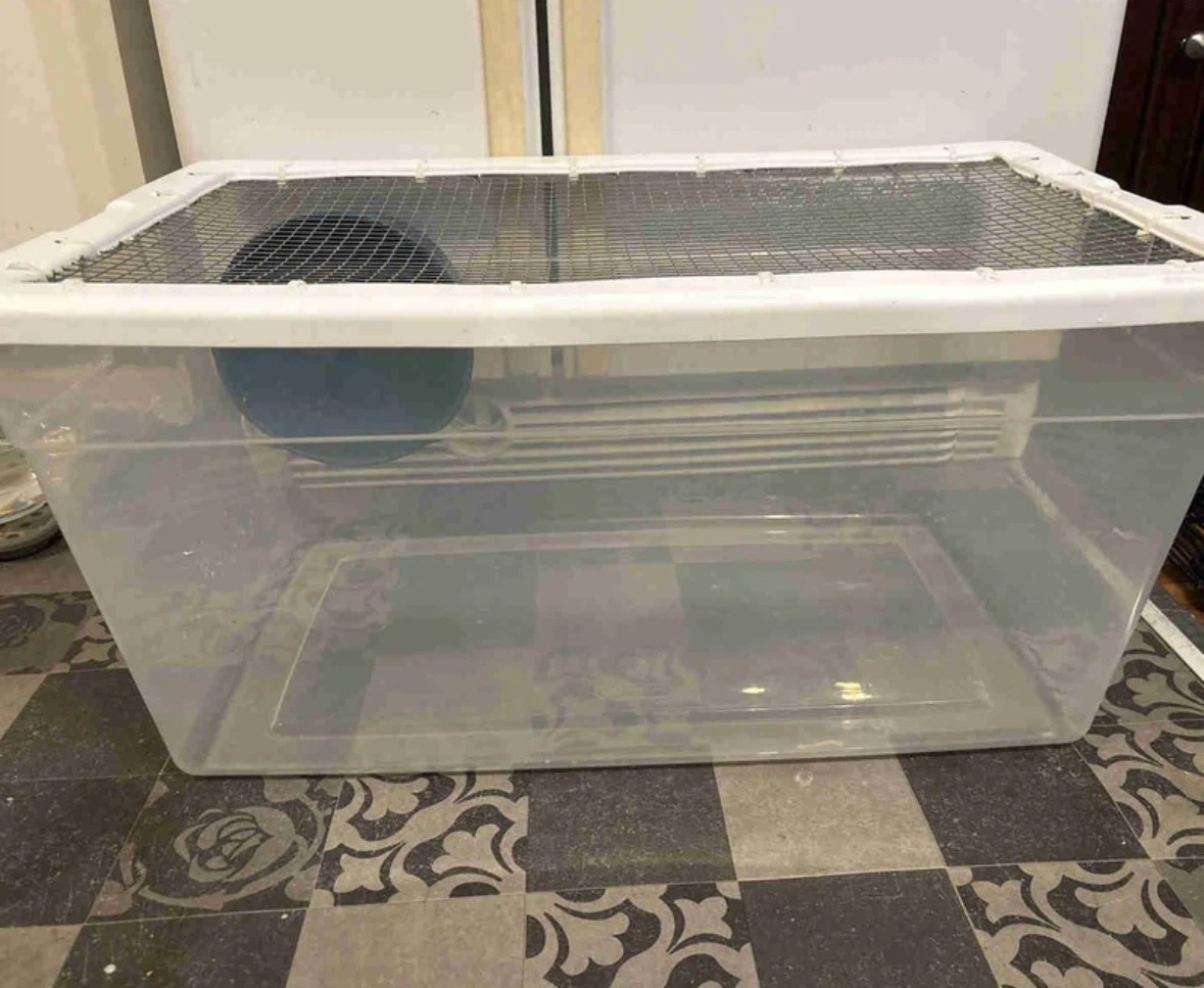 Hamster Bin Cage