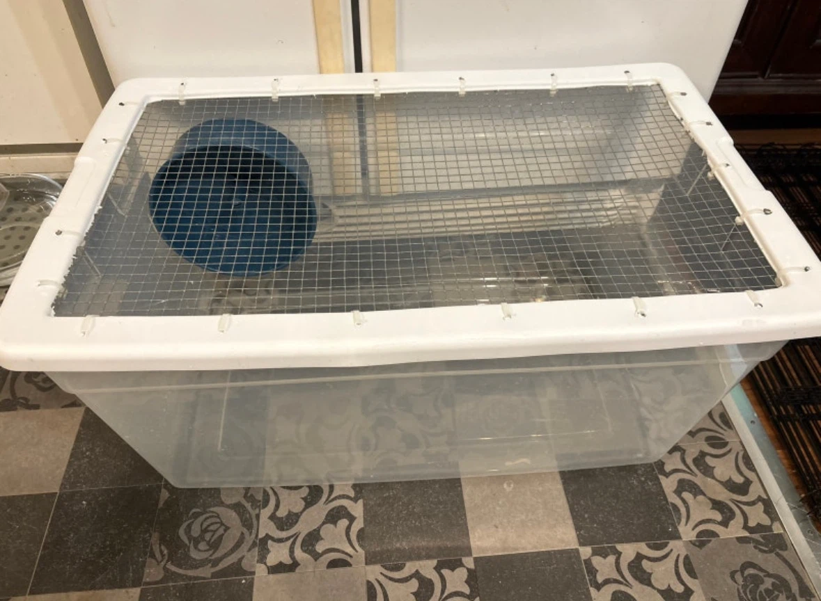 Hamster Bin Cage - photo 2