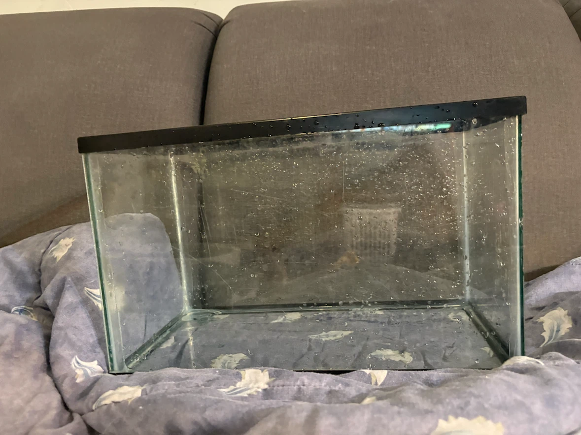 10 Gallon Fish Tank With Stand - photo 3