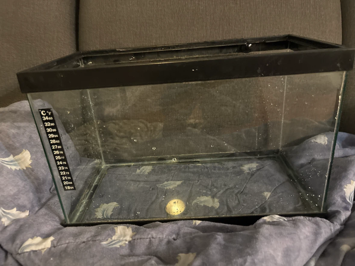 10 Gallon Fish Tank With Stand - photo 4