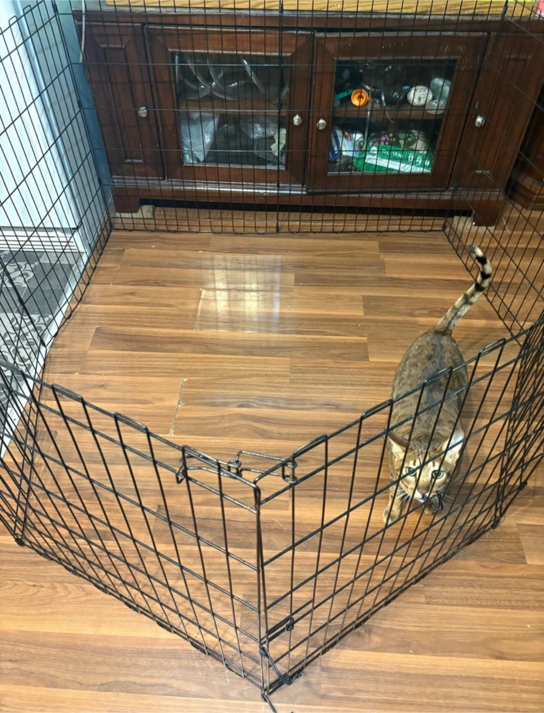 Dog Play Pen / X Pen - photo 2