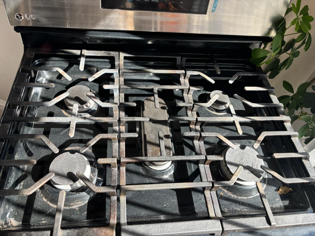 LG Stainless Steel Gas Range - photo 2