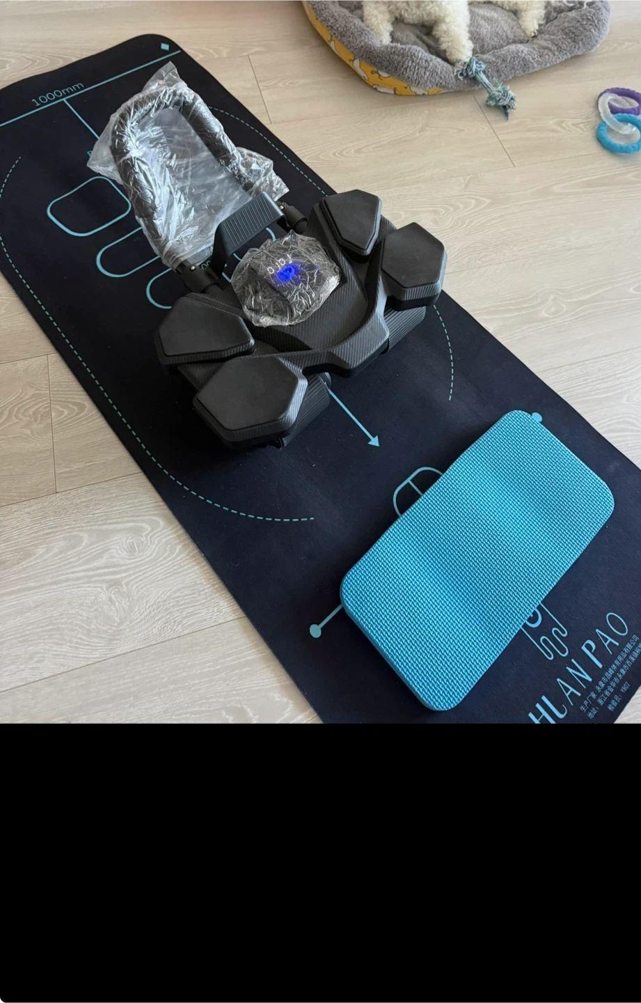 AB Roller Wheel with Exercise Mat