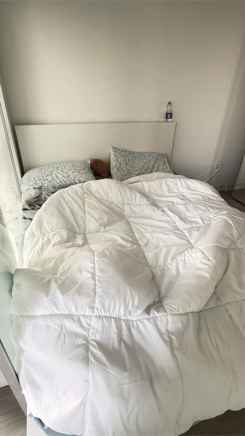 IKEA MALM Queen Bed Frame (White) – Like New