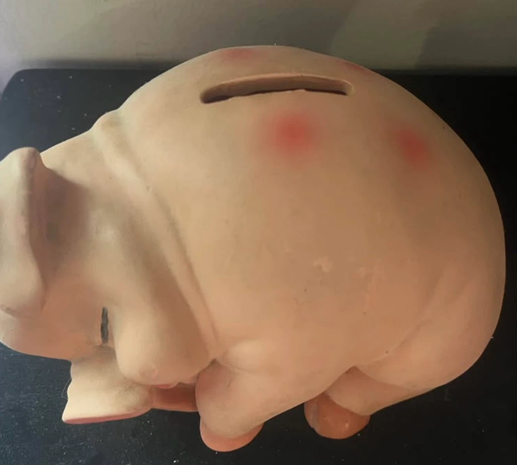 Piggy Bank - photo 2