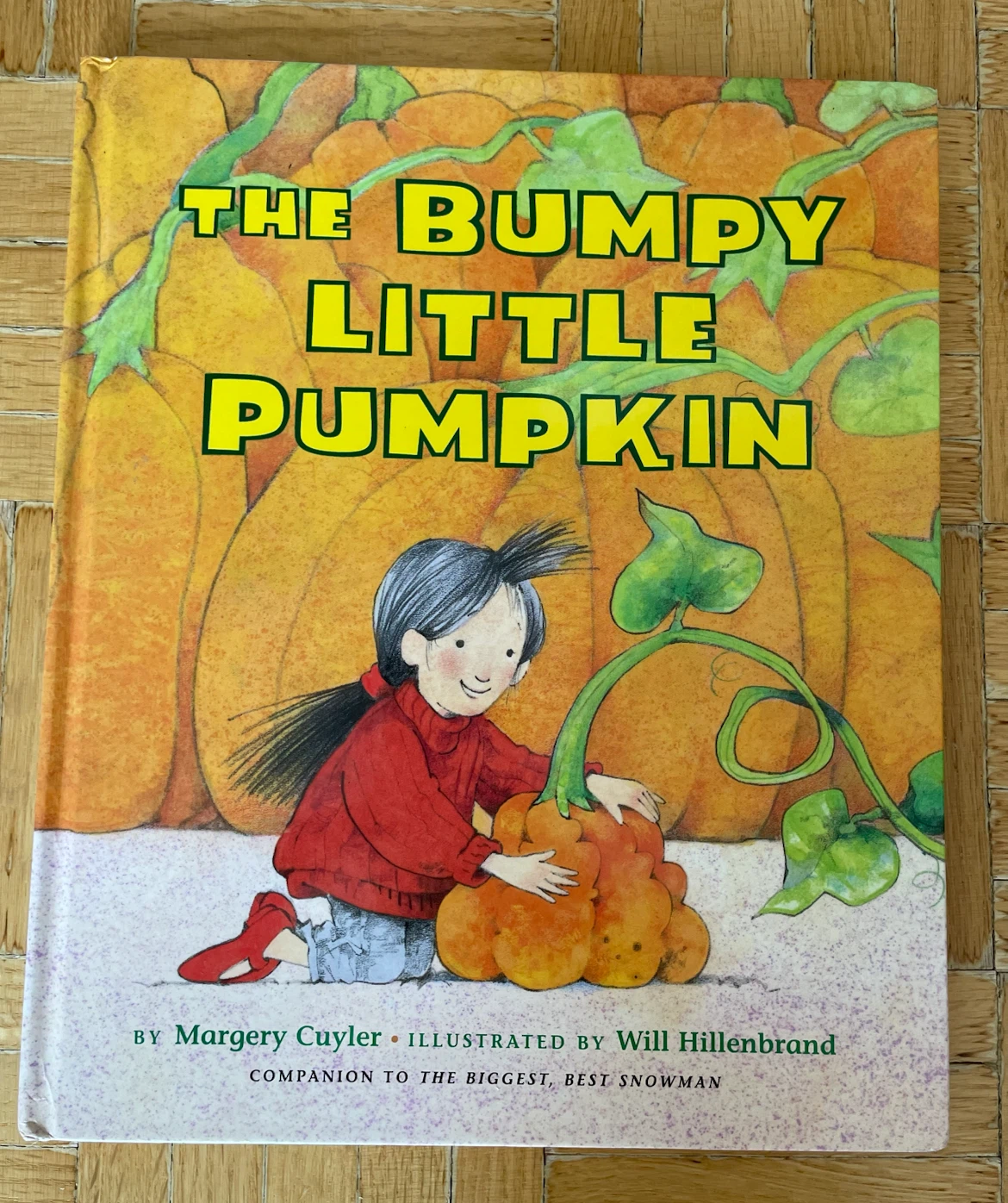 The Bumpy Little Pumpkin Children’s Book