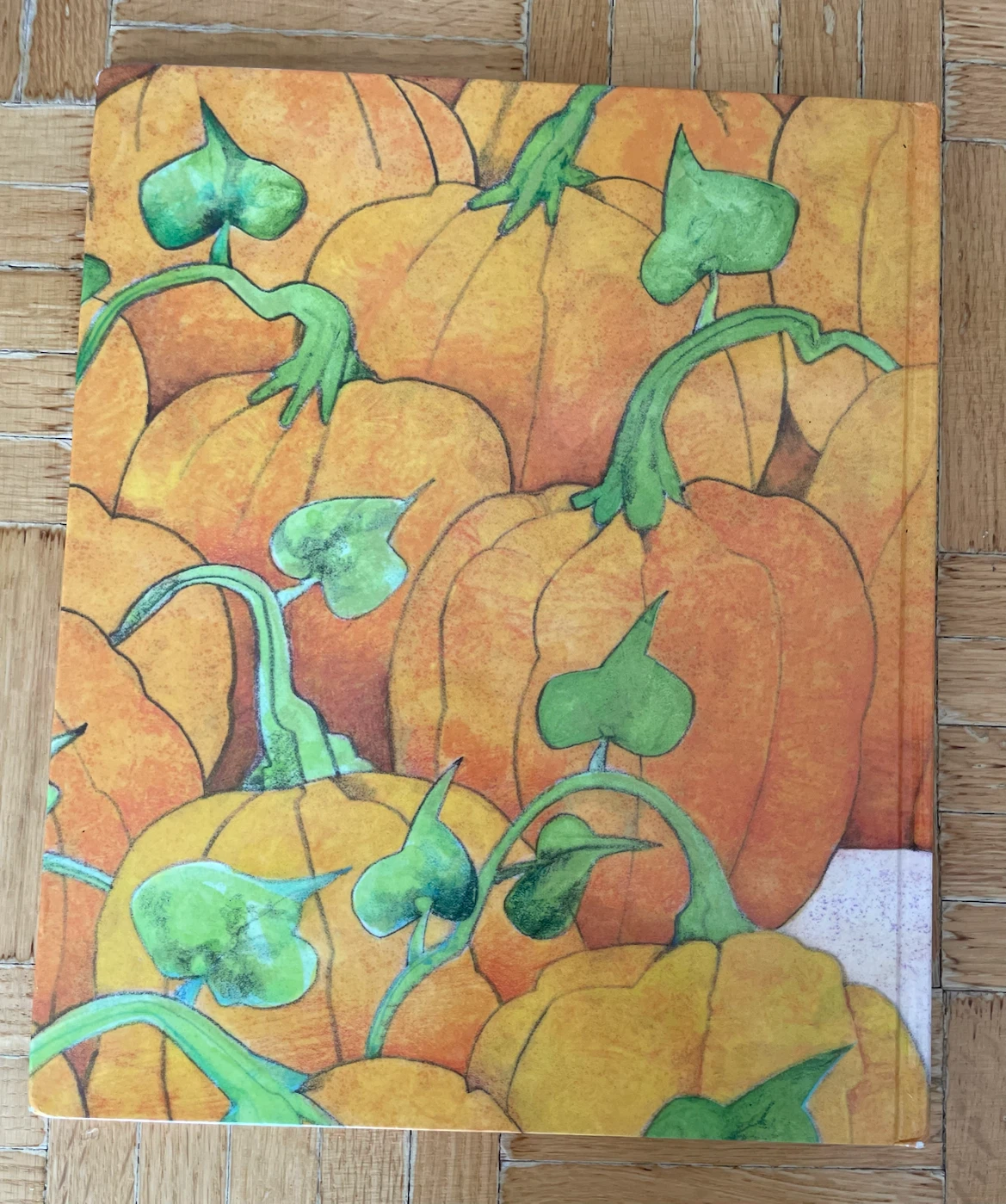 The Bumpy Little Pumpkin Children’s Book - photo 2
