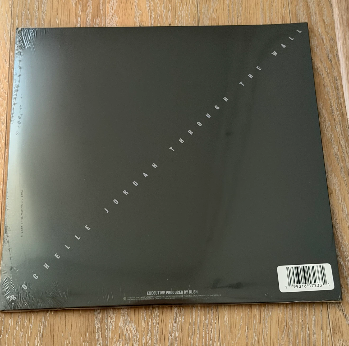 Rochelle Jordan - Through The Wall Vinyl Record - photo 2