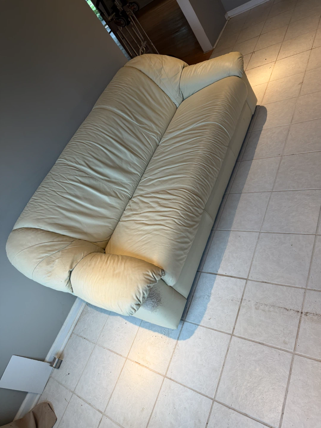 Free Leather Sofa