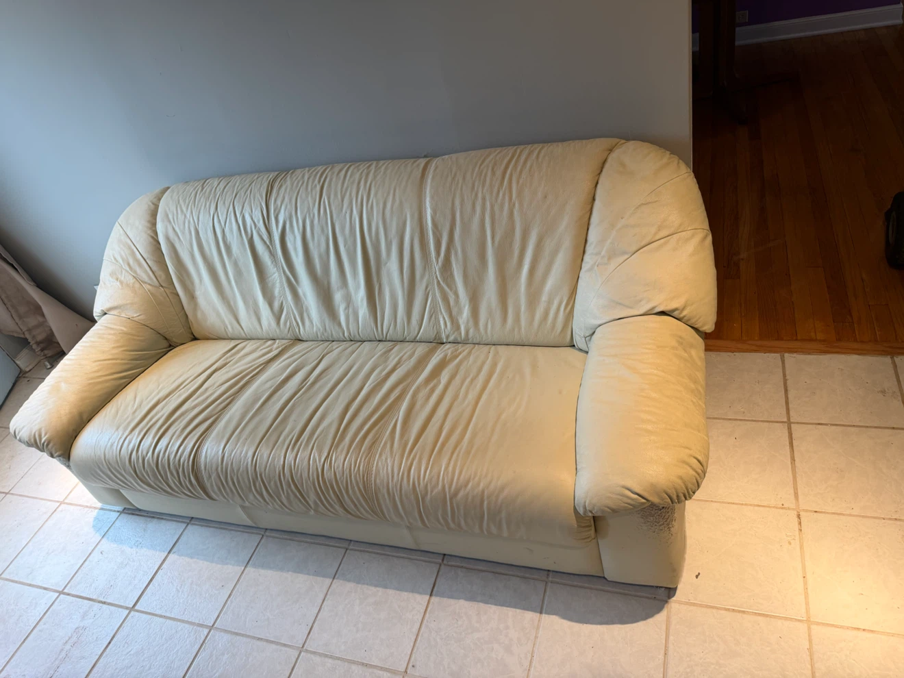 Free Leather Sofa - photo 5