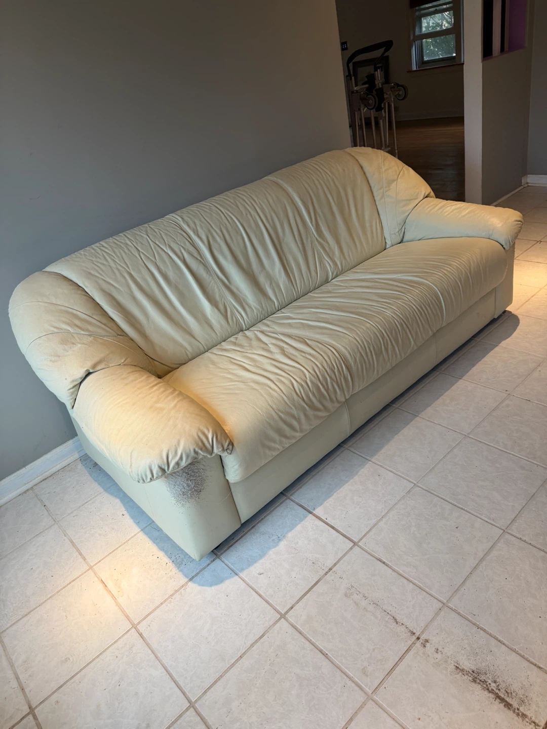 Free Leather Sofa - photo 5