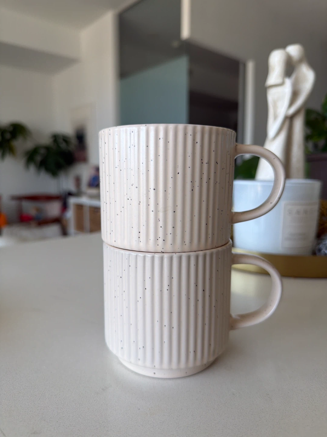Casa Moderna Set of 2 Ribbed Mugs
