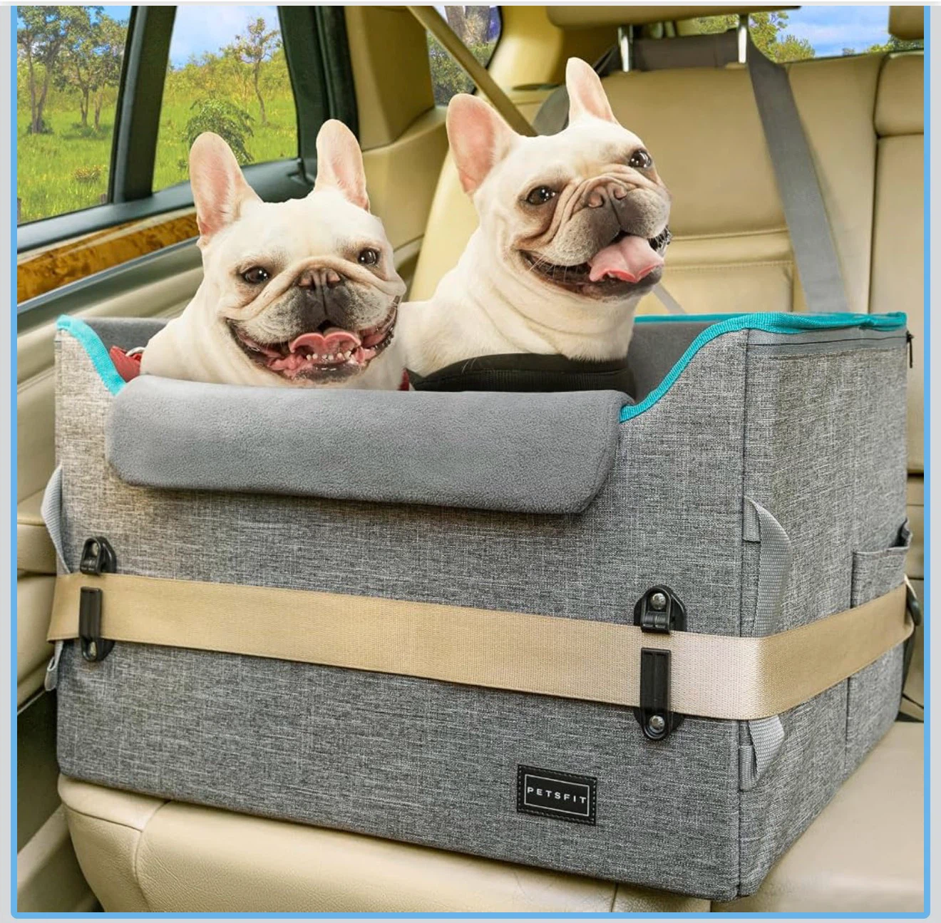 PETSFIT Pet Car Seat Booster