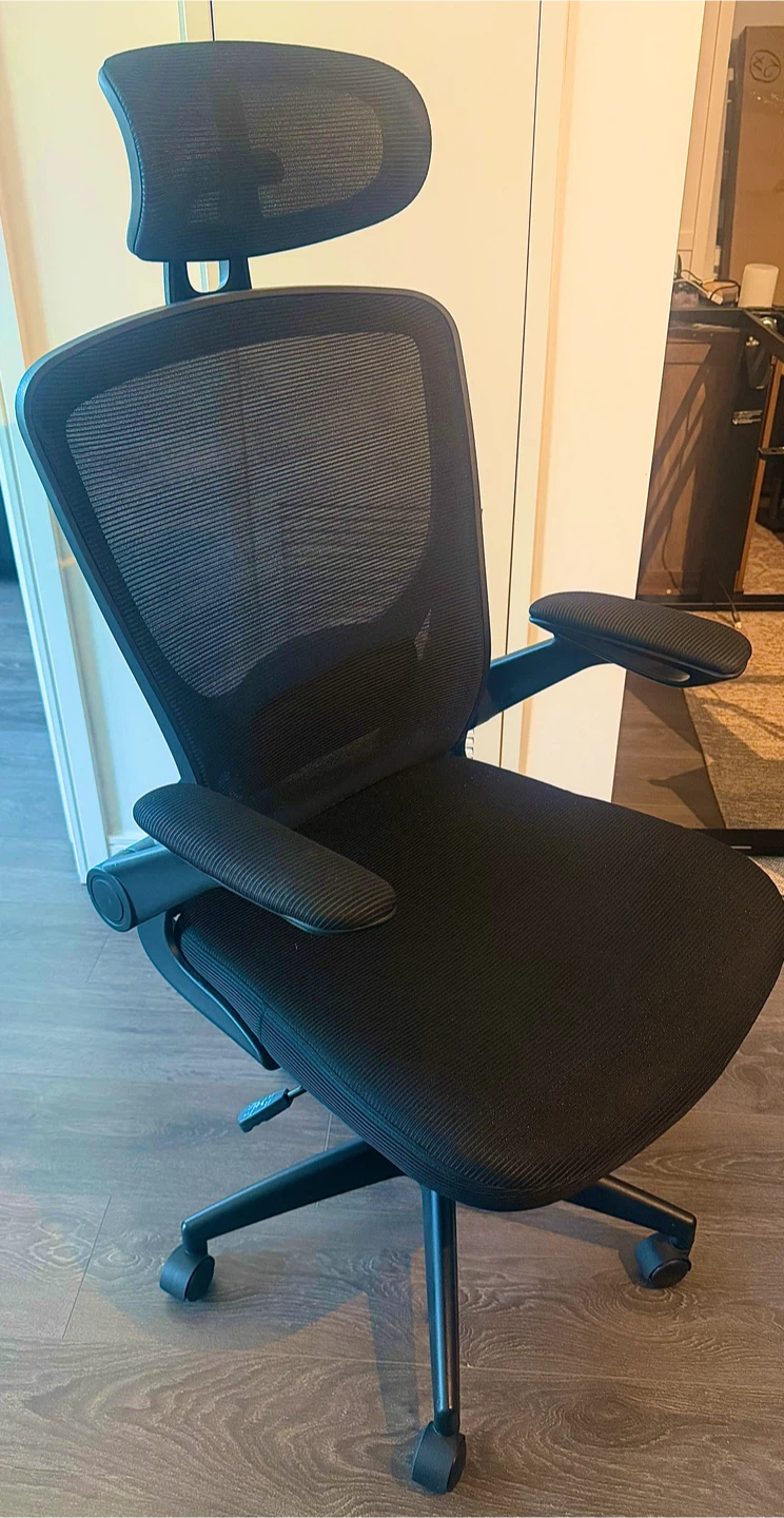 Black Mesh Ergonomic Office Chair with Headrest