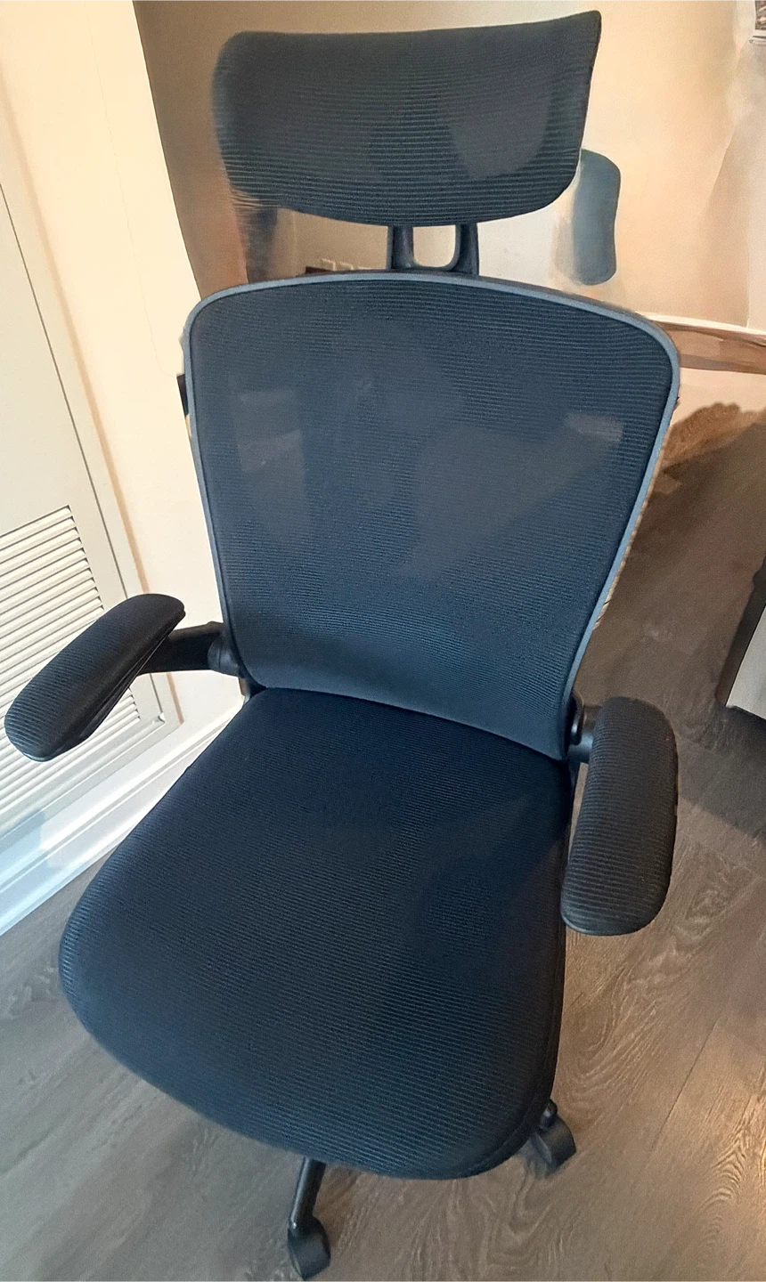 Black Mesh Ergonomic Office Chair with Headrest - photo 2