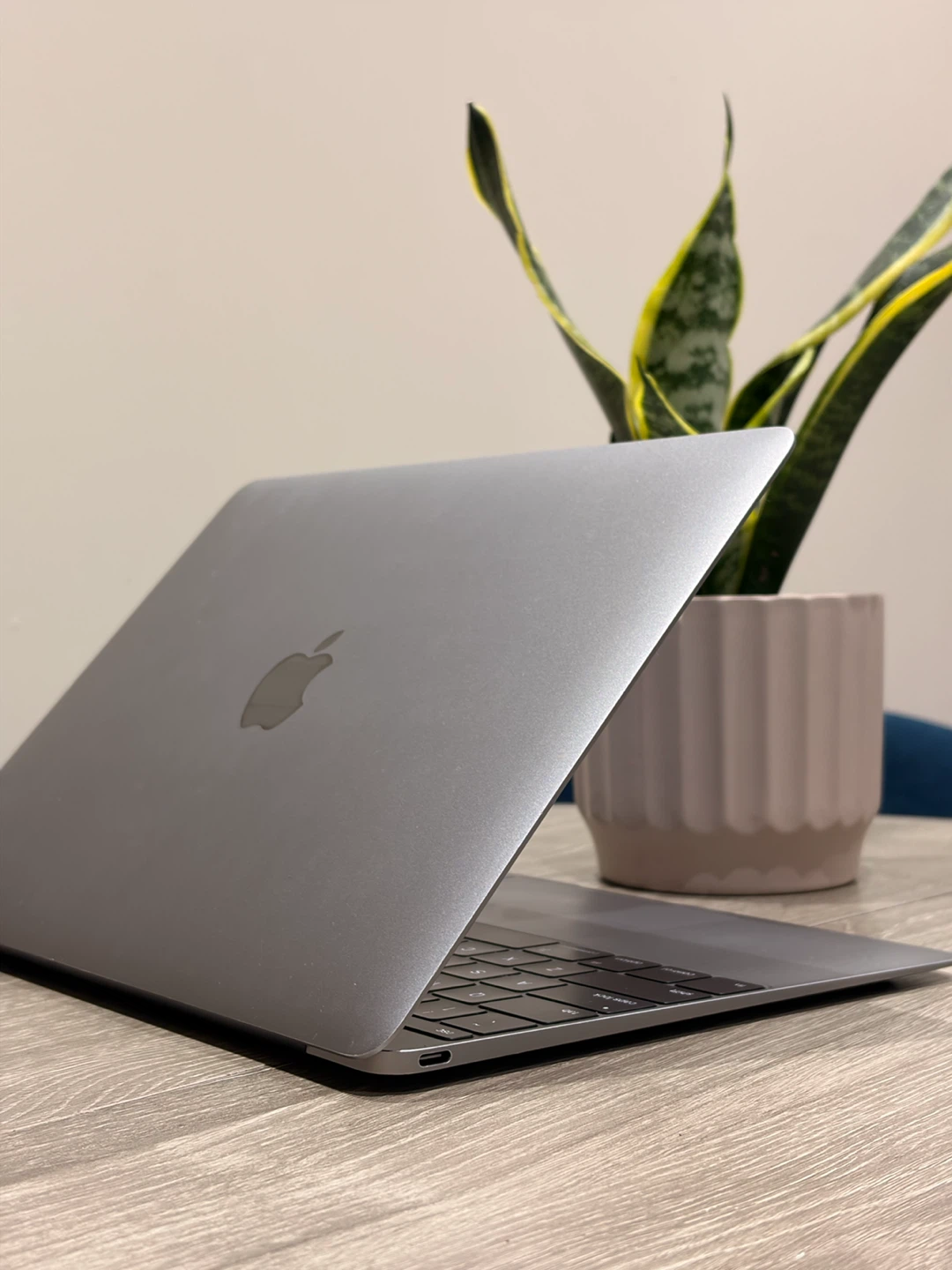 MacBook (Retina, 12-inch, 2017) — 250GB / m3 / 8GB - photo 3