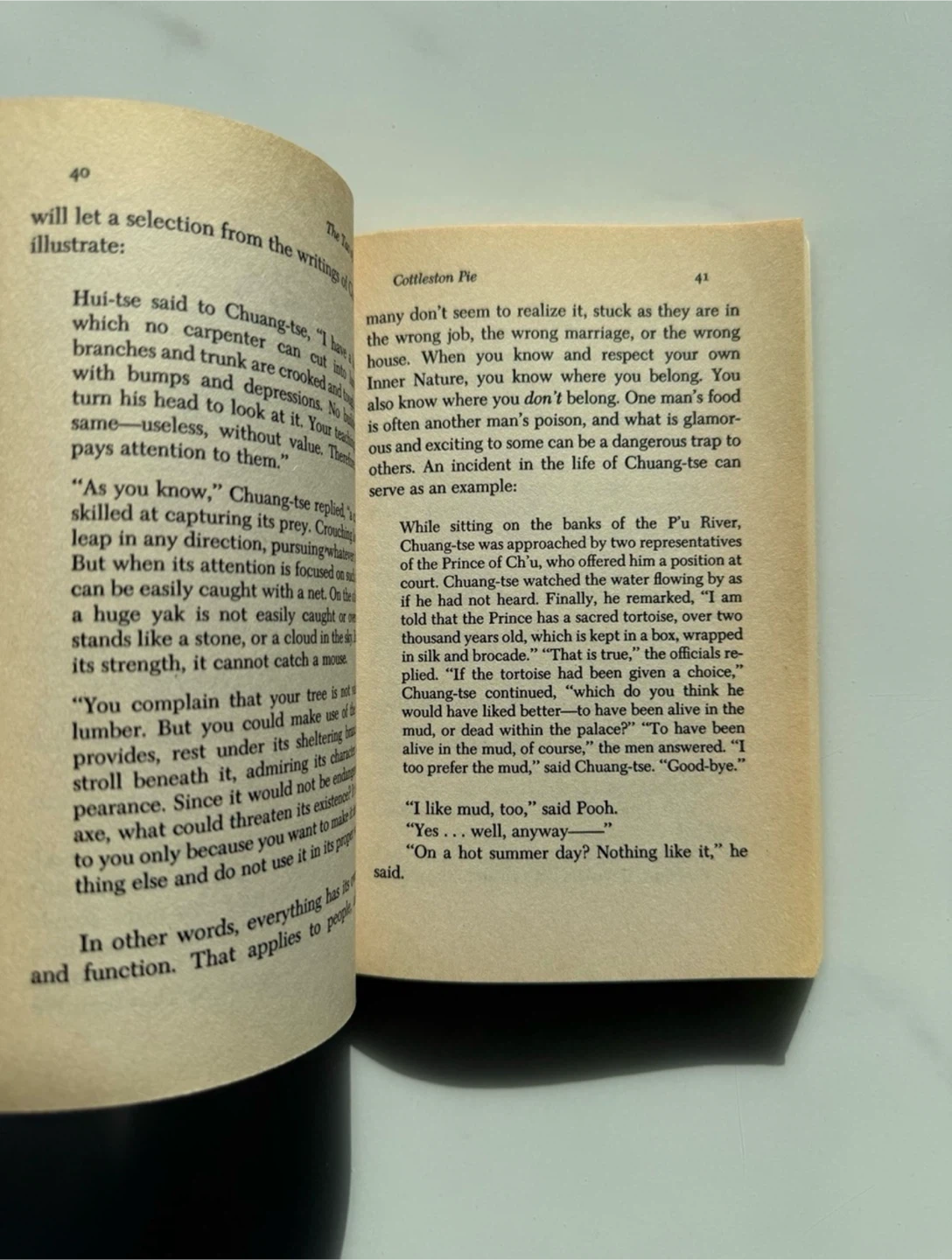 Vintage copy of The Tao of Pooh by Benjamin Hoff - photo 3