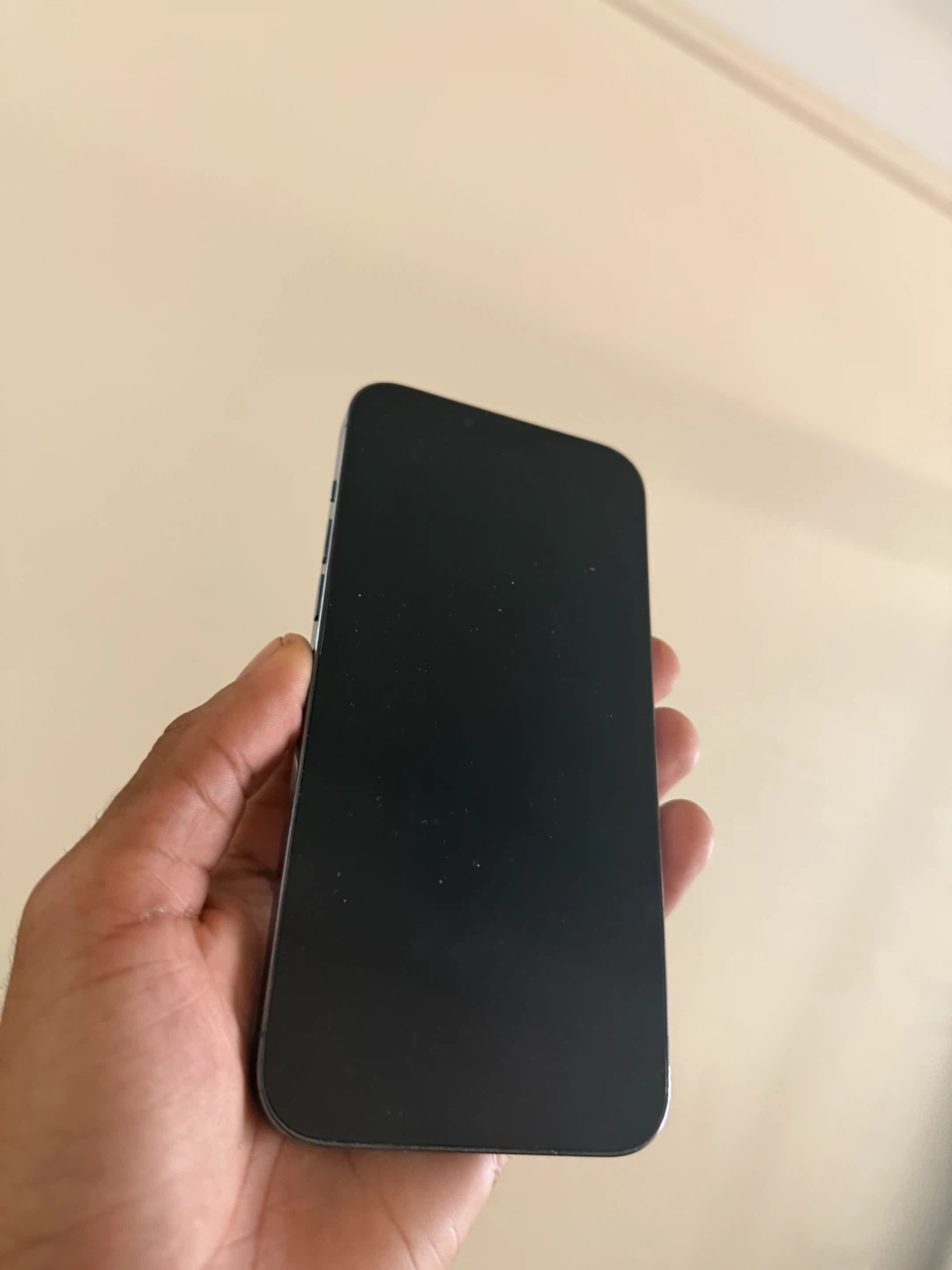 Apple iPhone 13 Pro Max - photo 2