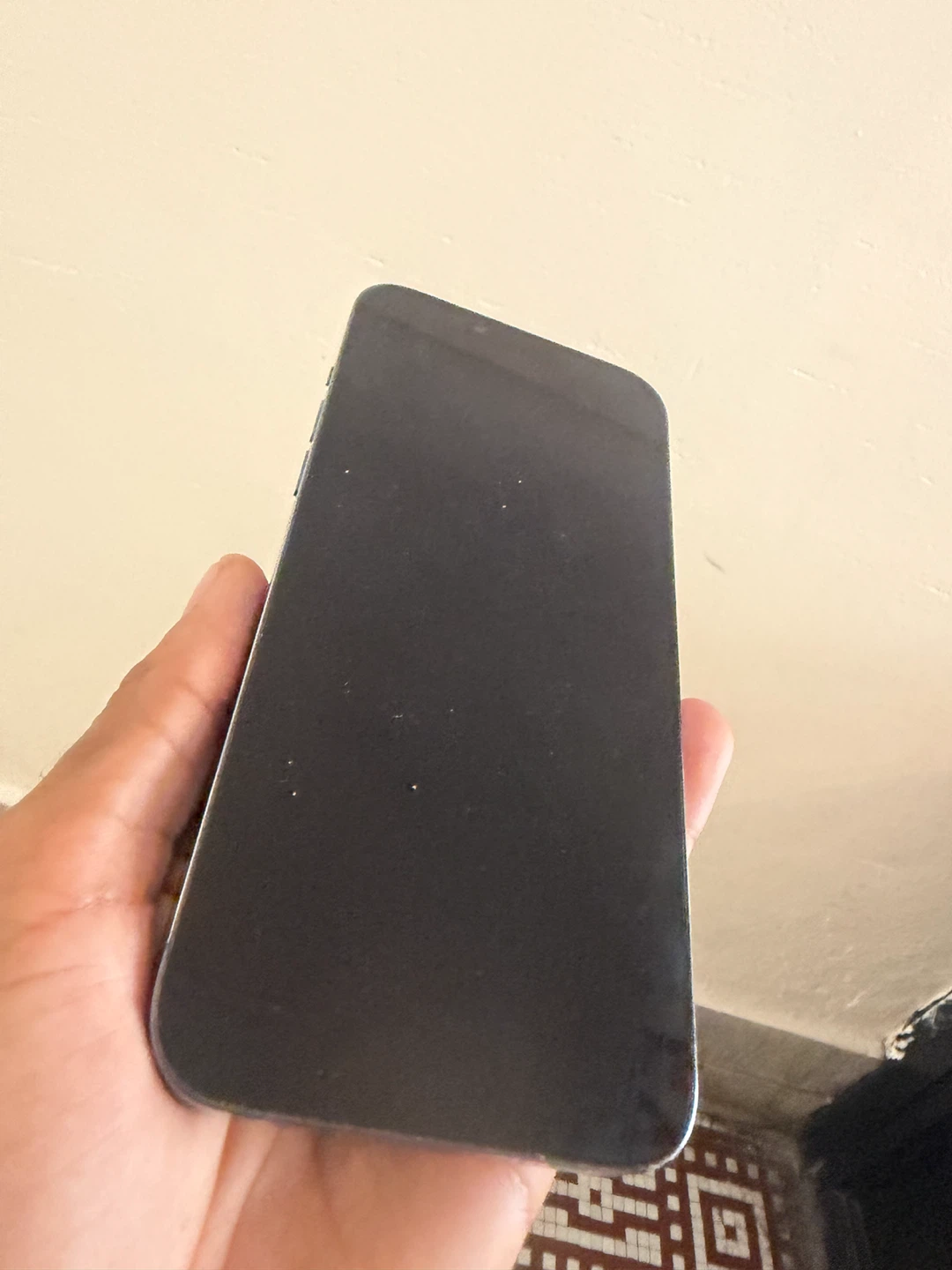 Apple iPhone 13 Pro Max - photo 5
