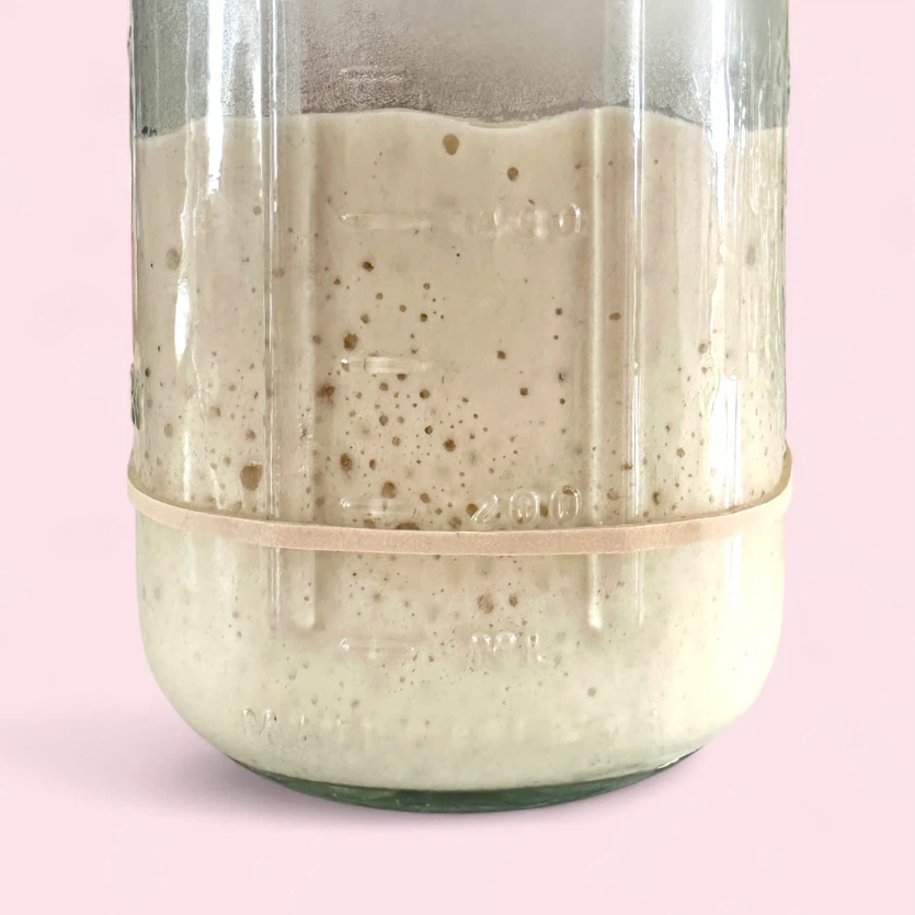 Sourdough Starter 100g